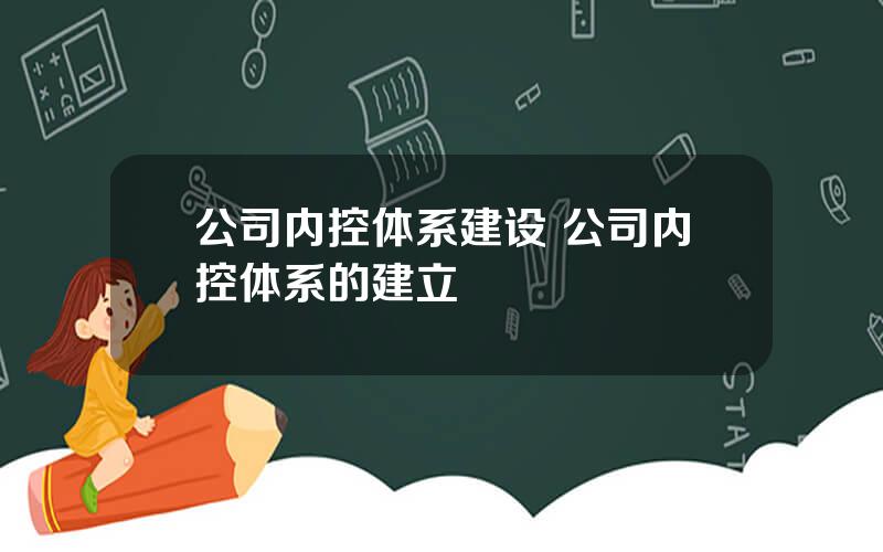 公司内控体系建设 公司内控体系的建立